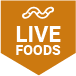 Live Mini Mealworms