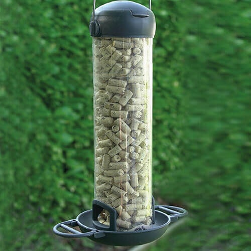 Suet Pellet and Mealworm Feeder