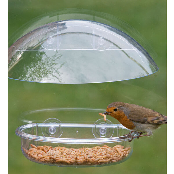 window bird feeders