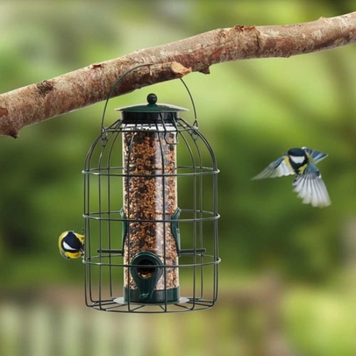 Nature's Market Seed Feeder with Squirrel Guard Cage