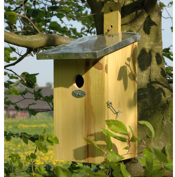 Fallen Fruits Observation Nest Box