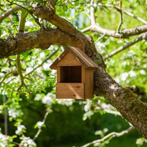 Chapelwood Robin Nest Box Dark Wood