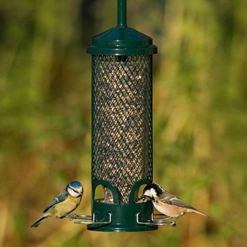 Brome Squirrel Buster Mini Seed Feeder