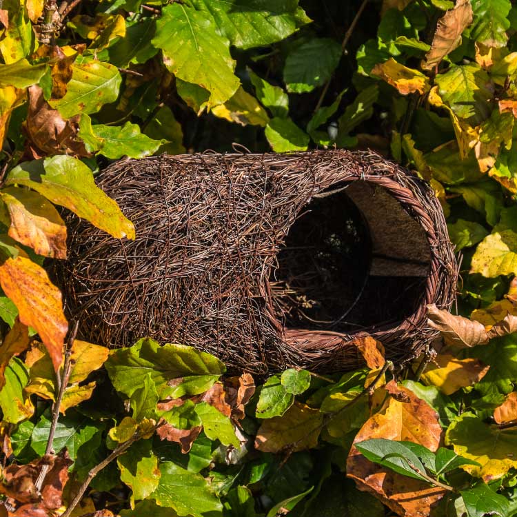 Simon King Brushwood Robin Nesting Box