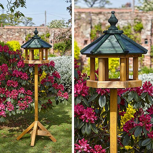 Tom Chambers Bird Oasis Bird Table