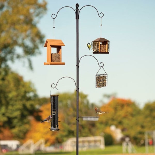 Panacea Essential Bird Feeding Station