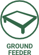 ground
